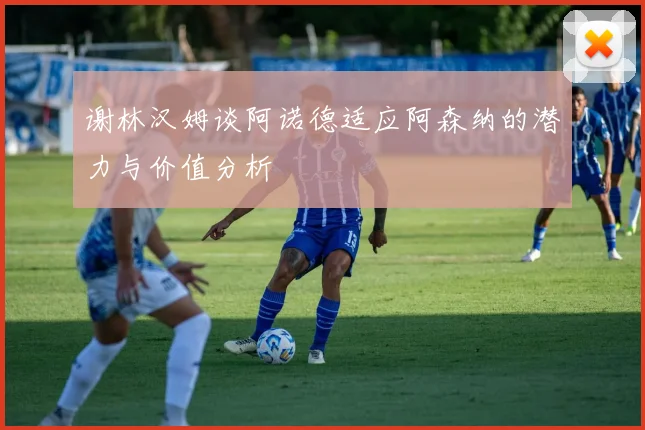 谢林汉姆谈阿诺德适应阿森纳的潜力与价值分析